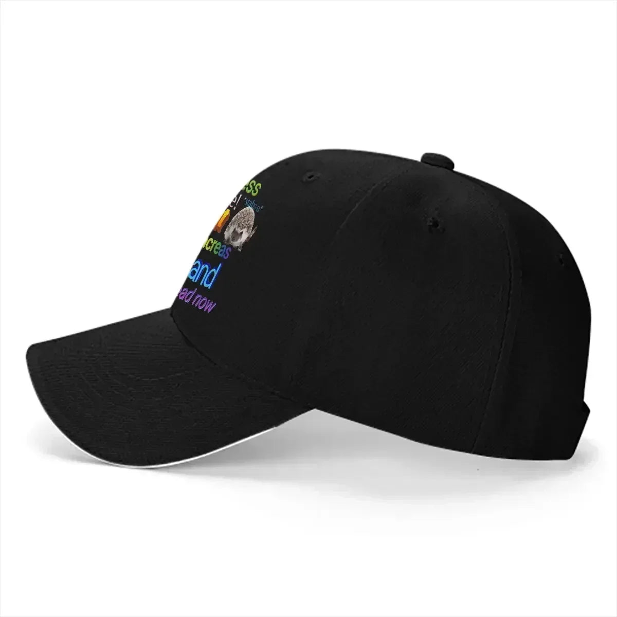 Fought My Pancreas Adjustable Baseball Hat