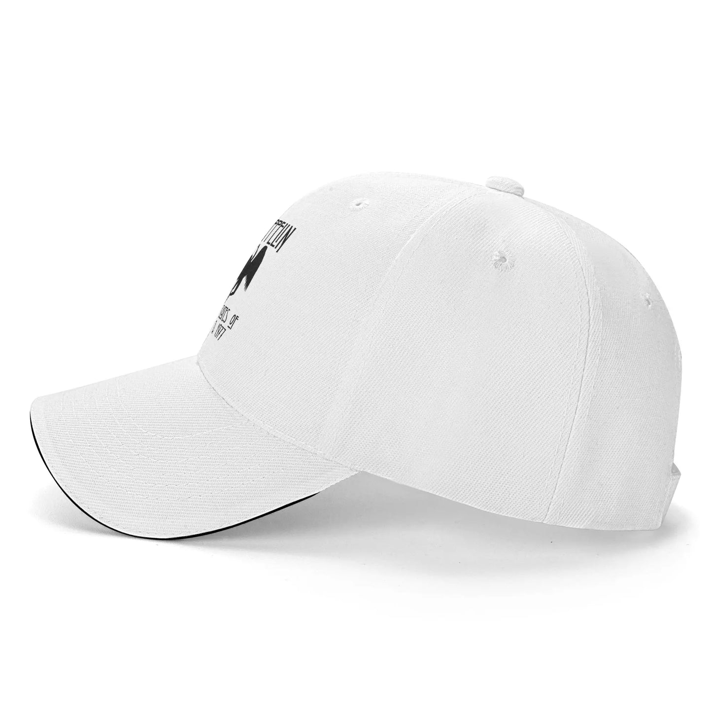 Led Zeppelin Falling Icarus 1977 Baseball Cap