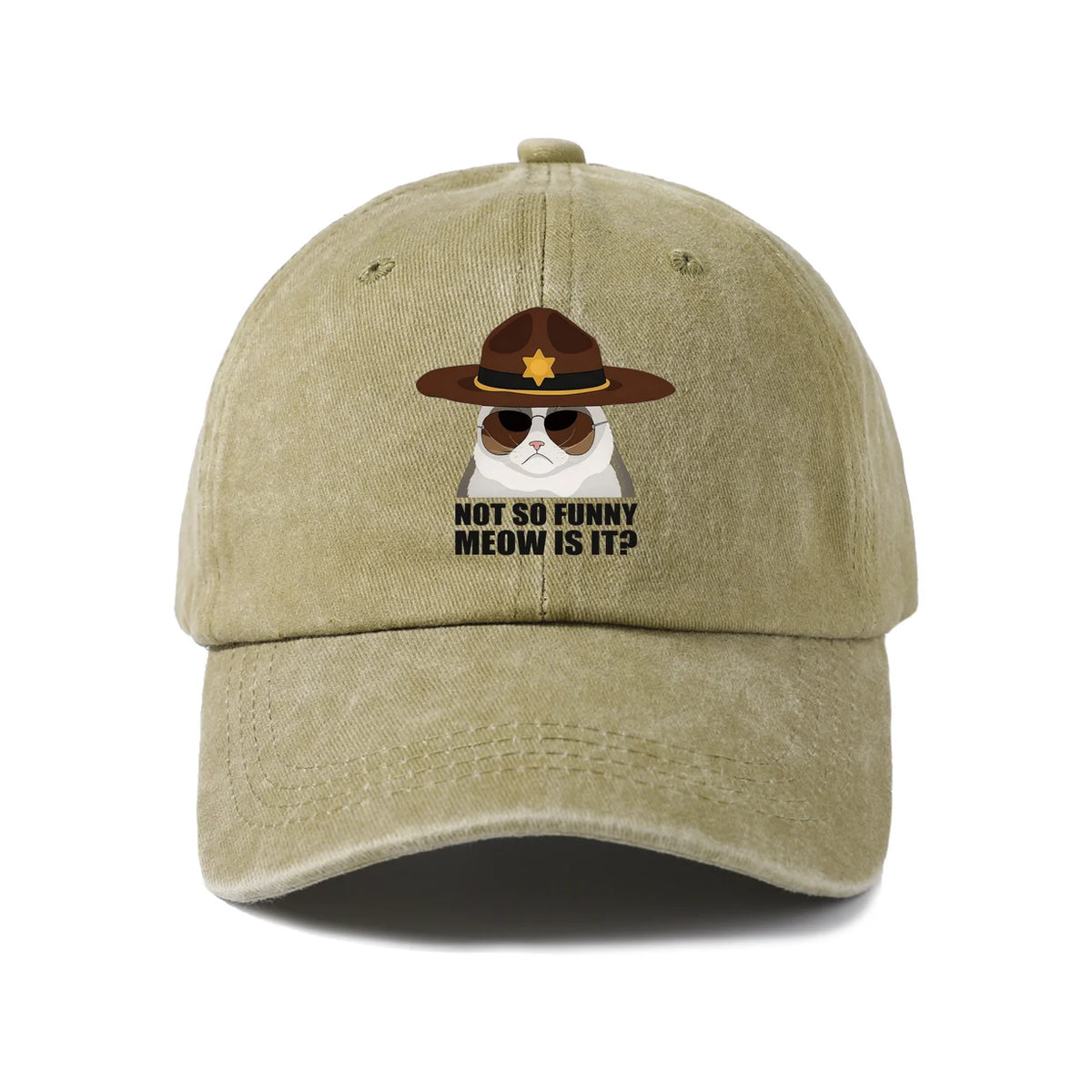 Not So Funi Meow Vintage-Washed Adjustable Baseball Hat