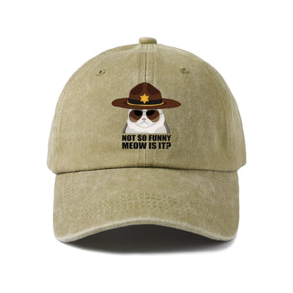 Not So Funi Meow Vintage-Washed Adjustable Baseball Hat
