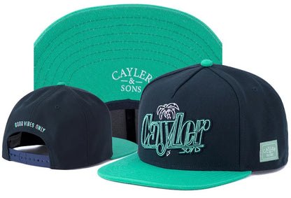 Classic Snapback Hat Cap Hip Hop Style Flat Bill Blank