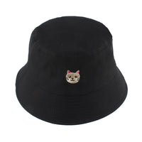 Black Cat