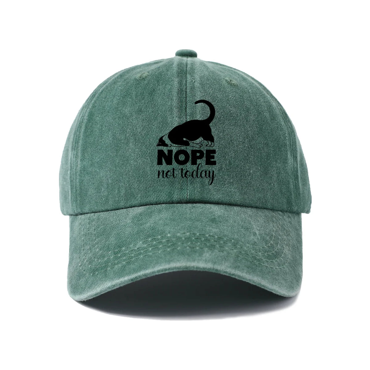 Sassy Black Cat Quote Washed Baseball Cap