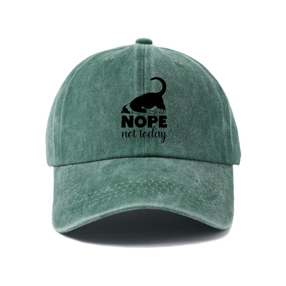 Sassy Black Cat Quote Washed Baseball Cap