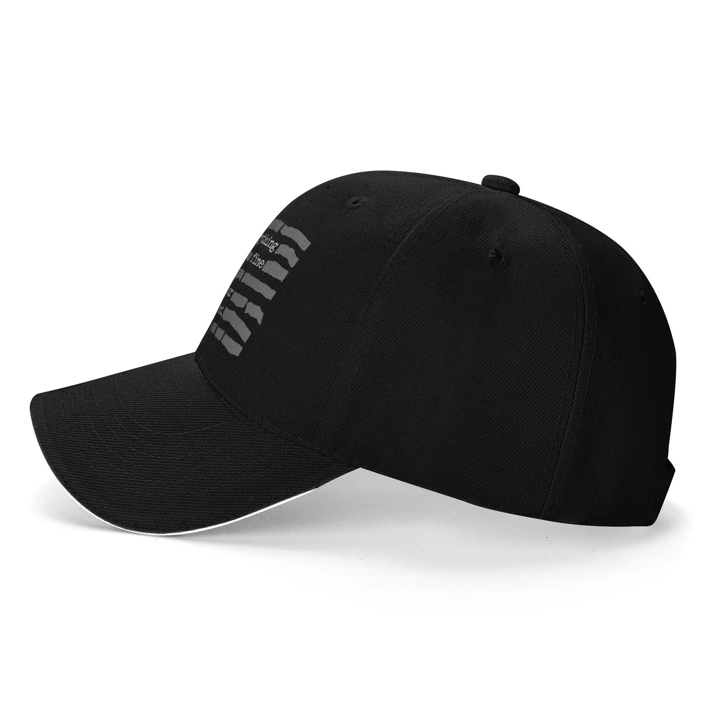 Summer Everything Is Fine Trust Your Government Baseball Cap