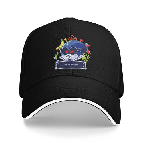 Deltarunes Baseball Cap