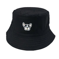 12-Dog-White