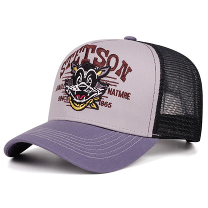 2025 Cartoon New Baseball Hat STETSON Cartoon Cat Truck Hat Daily Leisure Commuting