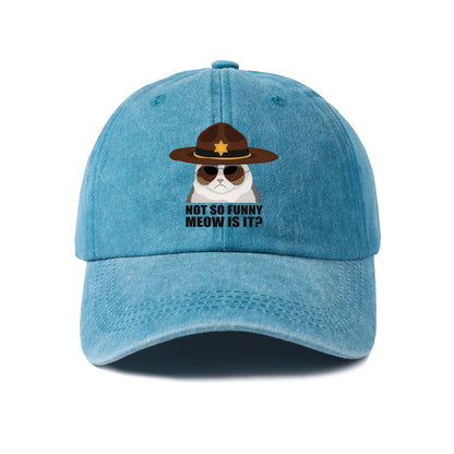 Not So Funi Meow Vintage-Washed Adjustable Baseball Hat