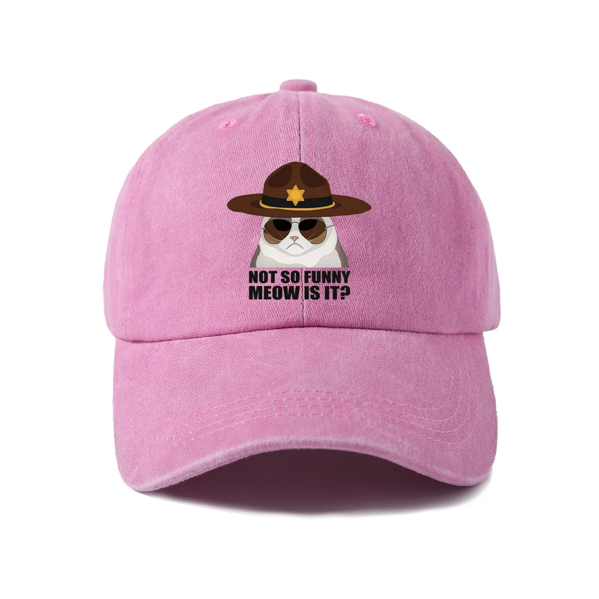 Not So Funi Meow Vintage-Washed Adjustable Baseball Hat