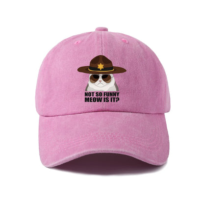 Not So Funi Meow Vintage-Washed Adjustable Baseball Hat