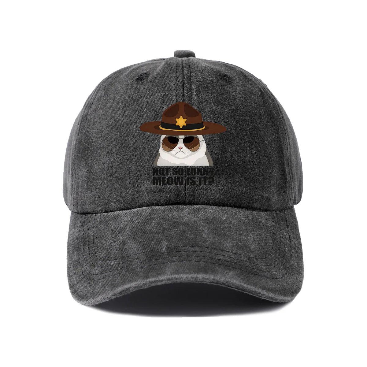 Not So Funi Meow Vintage-Washed Adjustable Baseball Hat