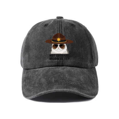 Not So Funi Meow Vintage-Washed Adjustable Baseball Hat