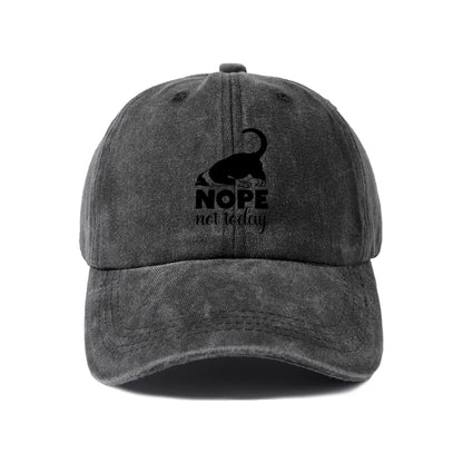 Sassy Black Cat Quote Washed Baseball Cap
