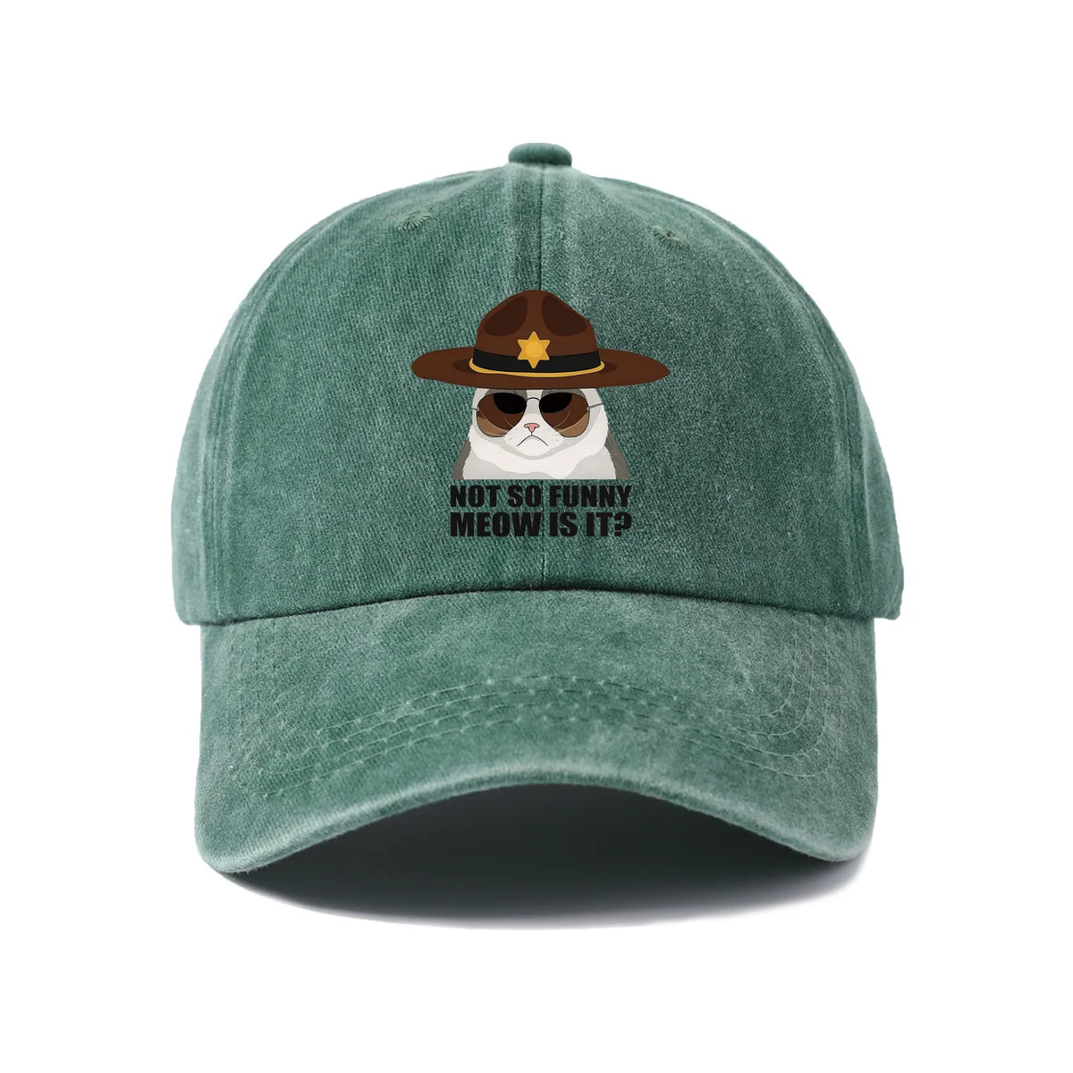 Not So Funi Meow Vintage-Washed Adjustable Baseball Hat