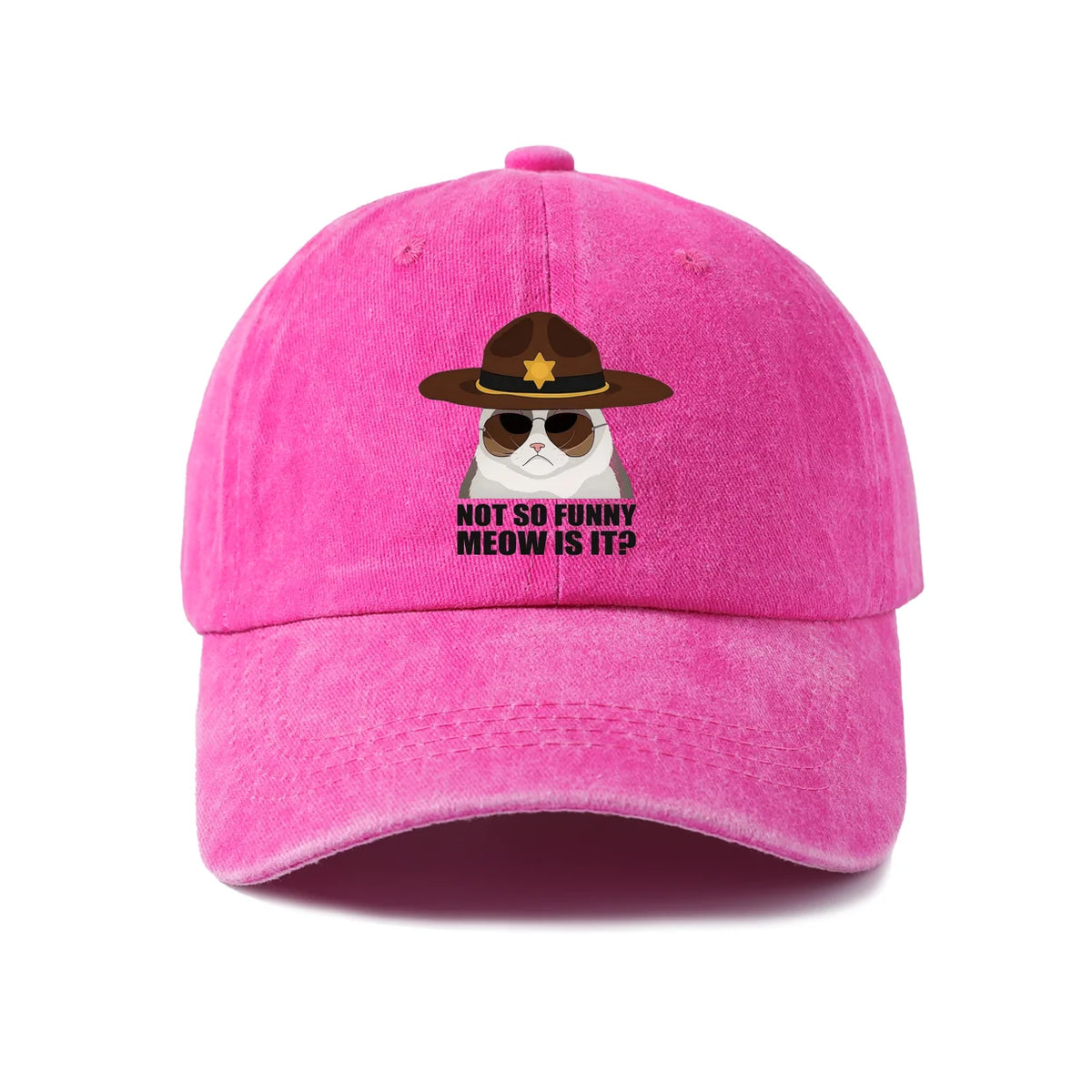 Not So Funi Meow Vintage-Washed Adjustable Baseball Hat