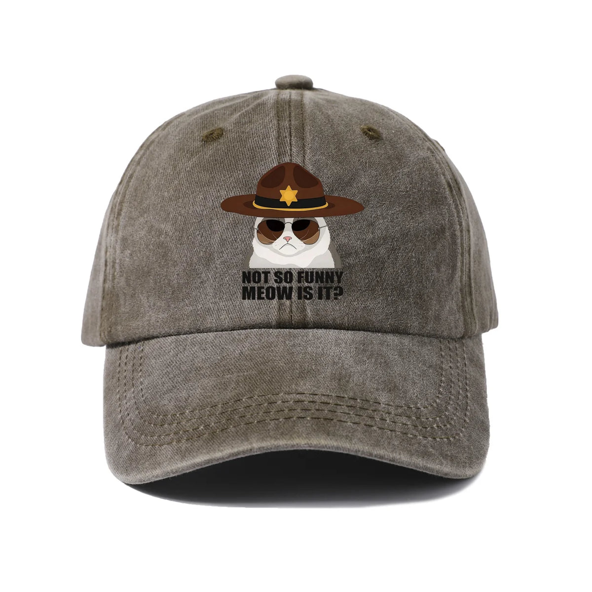 Not So Funi Meow Vintage-Washed Adjustable Baseball Hat