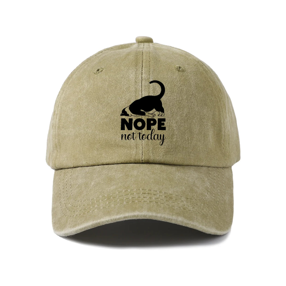 Sassy Black Cat Quote Washed Baseball Cap