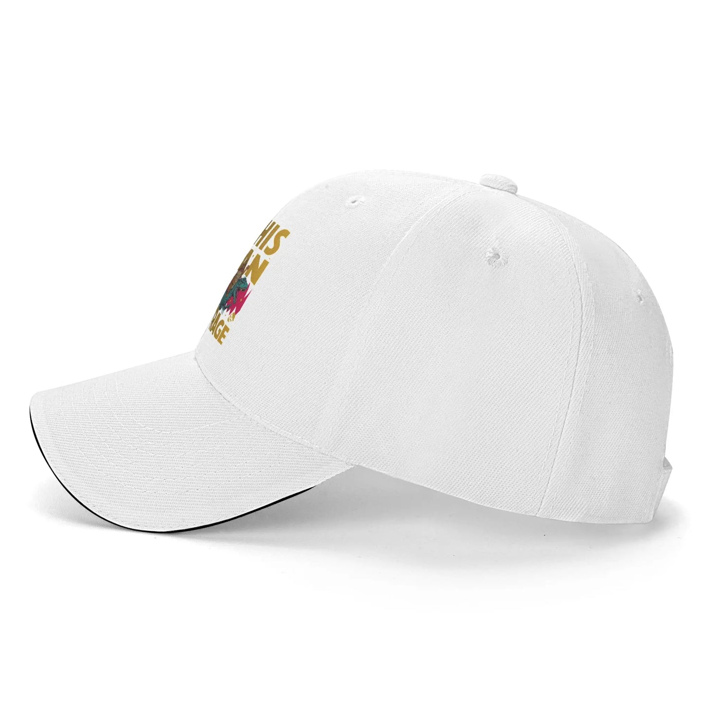 Summer This Is An Outrage Princess Donut Cat Dungeon Crawler Carl Baseball Cap