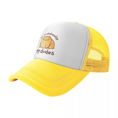 It Is Wednesday My Dudes Baseball Cap Anime Hat Luxury Women Men