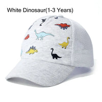 W Dinosaur1-3 Years