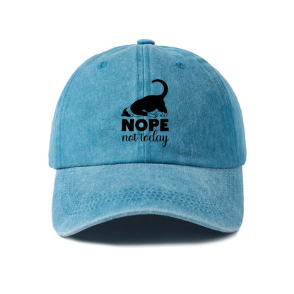 Sassy Black Cat Quote Washed Baseball Cap