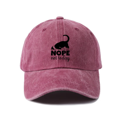 Sassy Black Cat Quote Washed Baseball Cap