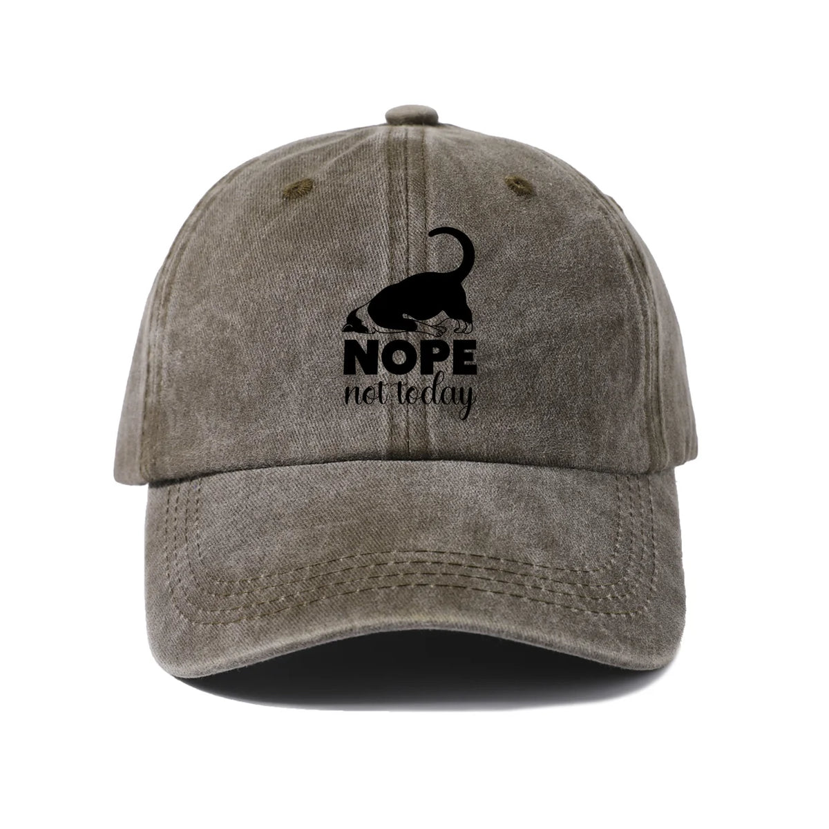 Sassy Black Cat Quote Washed Baseball Cap