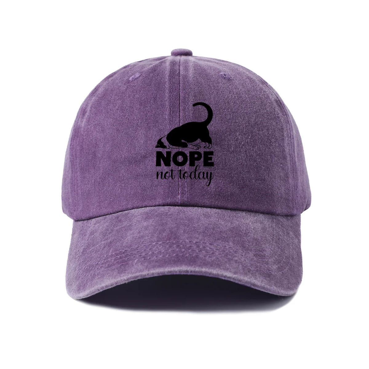 Sassy Black Cat Quote Washed Baseball Cap
