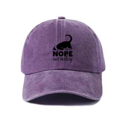 Sassy Black Cat Quote Washed Baseball Cap