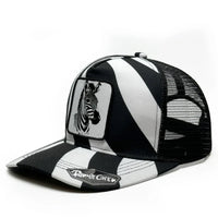 As shown 4