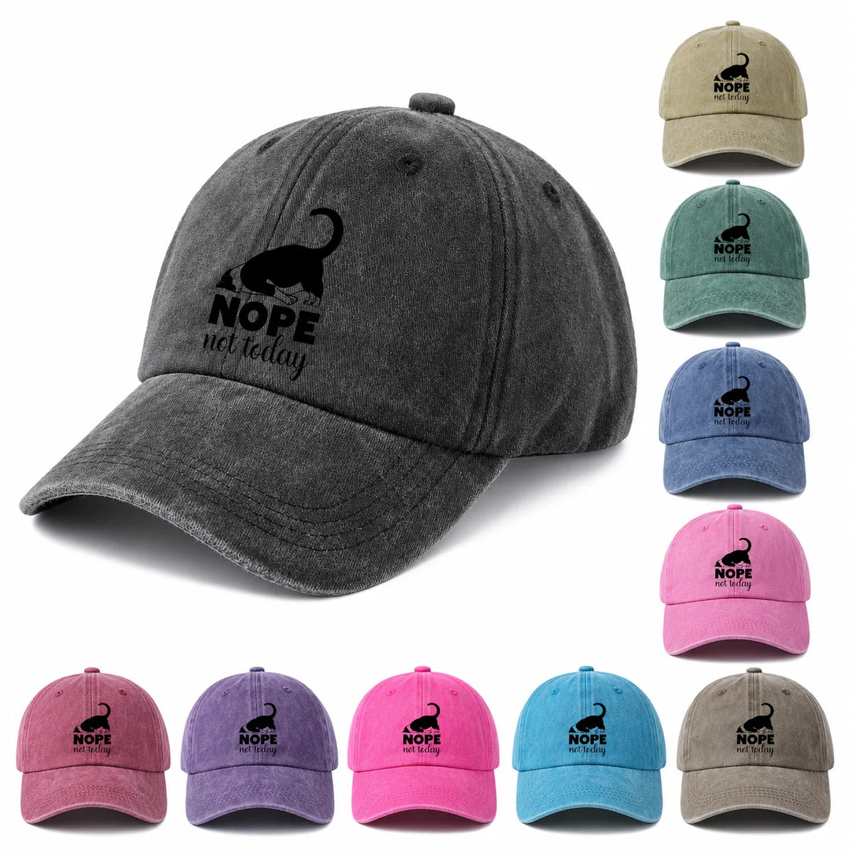 Sassy Black Cat Quote Washed Baseball Cap