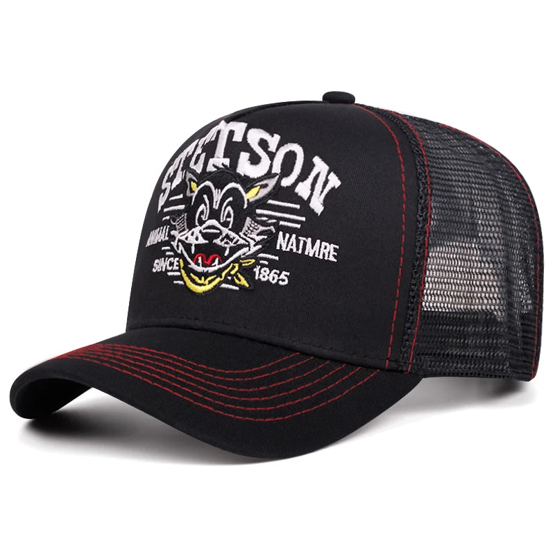 2025 Cartoon New Baseball Hat STETSON Cartoon Cat Truck Hat Daily Leisure Commuting
