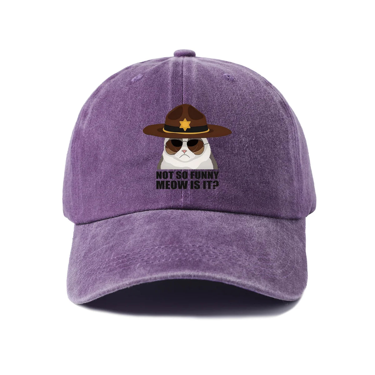 Not So Funi Meow Vintage-Washed Adjustable Baseball Hat
